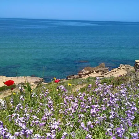 Rosa Sea View