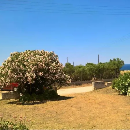 Rosa Sea View Valledoria (Sardinia)