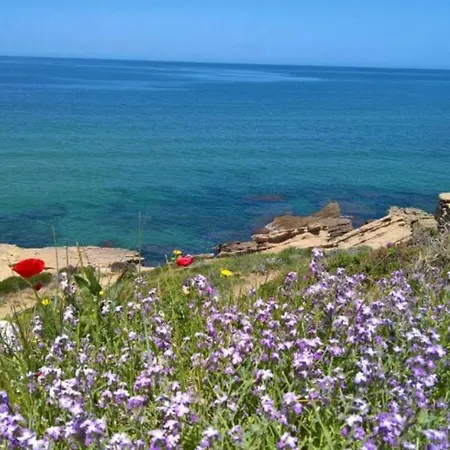 Rosa Sea View Valledoria (Sardinia)